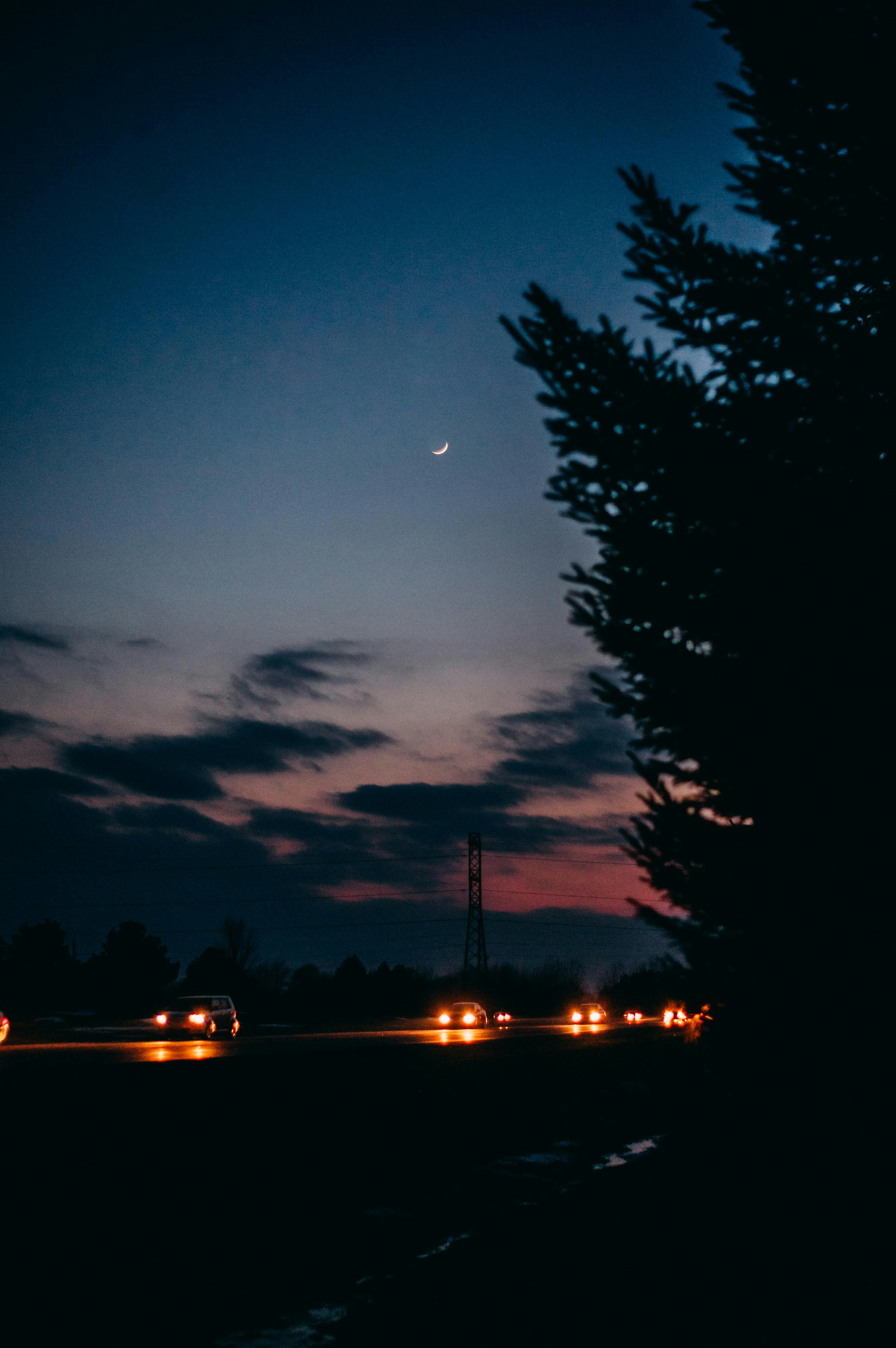 vehicles on road at night